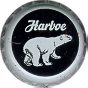Bear Beer