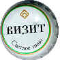Vizit