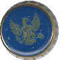 Ryazan beer caps