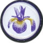 Iris beer