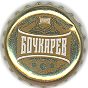 Bochkarev light
