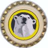 White bear