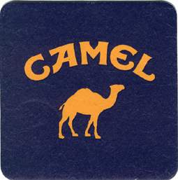 camel.jpg (10472 bytes)